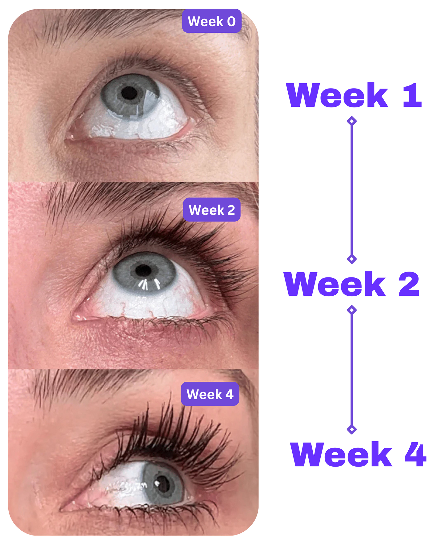 BioAoua Eyelash Growth Serum